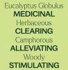 Eucalyptus Globulus Essential Oil 30 mL