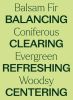 Balsam Fir Essential Oil 30 mL
