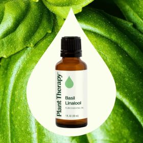 Basil Linalool Essential Oil 10 mL