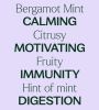 Bergamot Mint Essential Oil 10 mL