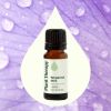 Bergamot Mint Essential Oil 10 mL