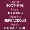 Bourbon Geranium Essential Oil  10 mL