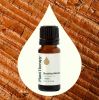 Buddha Wood Essential Oil 10 mL