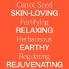 Carrot Seed Essential Oil 10 mL Single