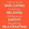 Carrot Seed Essential Oil 10 mL