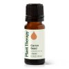 Carrot Seed Essential Oil 10 mL