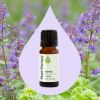 Catnip Essential Oil  10 mL