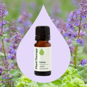 Catnip Essential Oil  10 mL