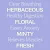 Catnip Essential Oil  10 mL