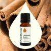 Cinnamon Cassia Essential Oil 10mL