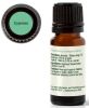 Cypress Essential Oil