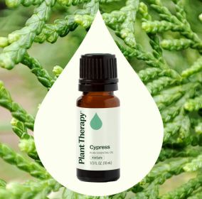 Cypress Essential Oil