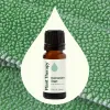 Dalmatian Sage Essential Oil  10 mL