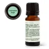 Dalmatian Sage Essential Oil  10 mL