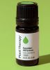 Geranium Egyptian Essential Oil 5 mL