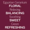 Next Egyptian Geranium Essential Oil 10 mL