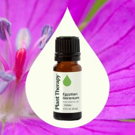 Next Egyptian Geranium Essential Oil 10 mL