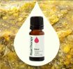 Elemi Essential Oil - 10 mL