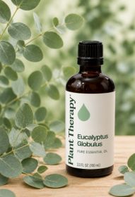 Eucalyptus Globulus Essential Oil 100 mL