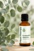 Eucalyptus Globulus Essential Oil 30 mL