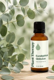 Eucalyptus Globulus Essential Oil 30 mL