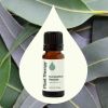 Eucalyptus Radiata Essential Oil 10 mL