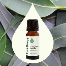 Eucalyptus Radiata Essential Oil 10 mL