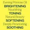 Evening Primrose Refined Carrier Oil - 4 oz.