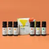 Fruits Set Pure Essential Oils  10 mL