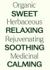 Organic German Chamomile Essential Oil 2.5 mL