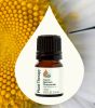 Organic German Chamomile Essential Oil 2.5 mL