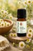 German Chamomile Essential Oil - 5 mL