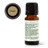 Ginger Essential Oil - 10 mL