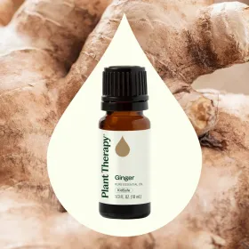 Ginger Essential Oil - 10 mL