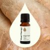 Ginger Root CO2 Extract 30 mL