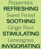 Gut Aid Essential Oil Blend 30 mL