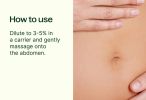 Gut Aid Essential Oil Blend 30 mL