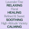Lavender Fine Essential Oil 10 mL