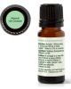 Niaouli 1,8-Cineole Essential Oil - 10 mL