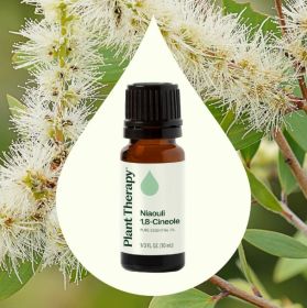 Niaouli 1,8-Cineole Essential Oil - 10 mL