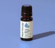 Organic Juniper Berry Essential Oil 10 mL