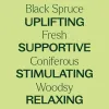 Organic Black Spruce Essential Oil - 10 mL