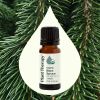 Organic Black Spruce Essential Oil - 10 mL