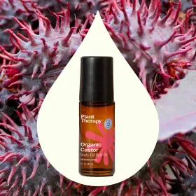 Organic Castor Body Oil - Roll-On  30 mL