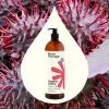 Organic Castor Carrier Oil  16 oz