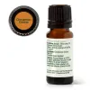 Organic Cinnamon Cassia Essential Oil - 10 mL