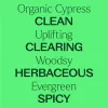Organic Cypress Essential Oil - 10 mL