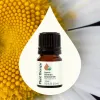Organic German Chamomile Essential Oil - 2.5 mL