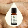 Organic Ginger Root CO2 Essential Oil - 10 mL