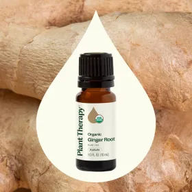 Organic Ginger Root CO2 Essential Oil - 10 mL